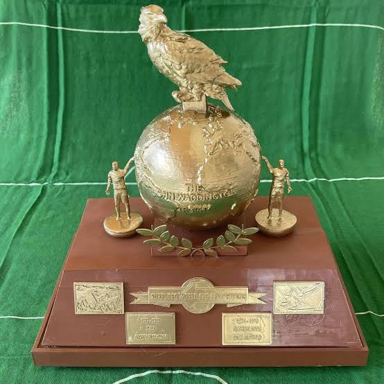 Il Trofeo John Waddington: aquila dorata su un globo, affiancata da due miniature di giocatori Subbuteo, su base in legno con targhette delle edizioni